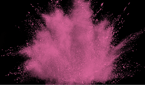 ZUCHT Splash Desktop final